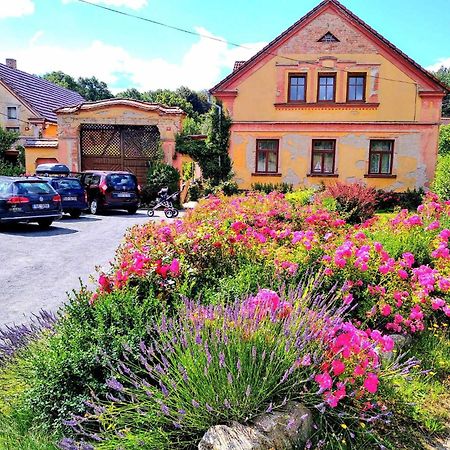 Apartmany Kosov 2 Bor Dış mekan fotoğraf